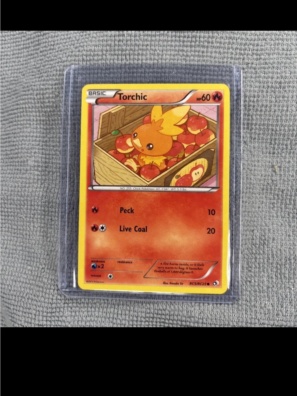 Pokémon TCG Pokémon Torchic Common Holo LP RC5/RC25